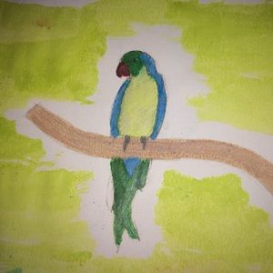 Meet your Posher, Diana